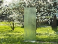 2017.04.05. Glasskulptur von der Rückseite vor blühenden Magnolienbüschen - Antiphon (15)a_B_Schuster