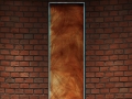 Usingen_Fenster_klein